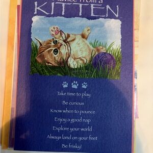 Leanin Tree Cat Greeting Cards • Funny & Cute Mixed Designs • New w/ Envelopes